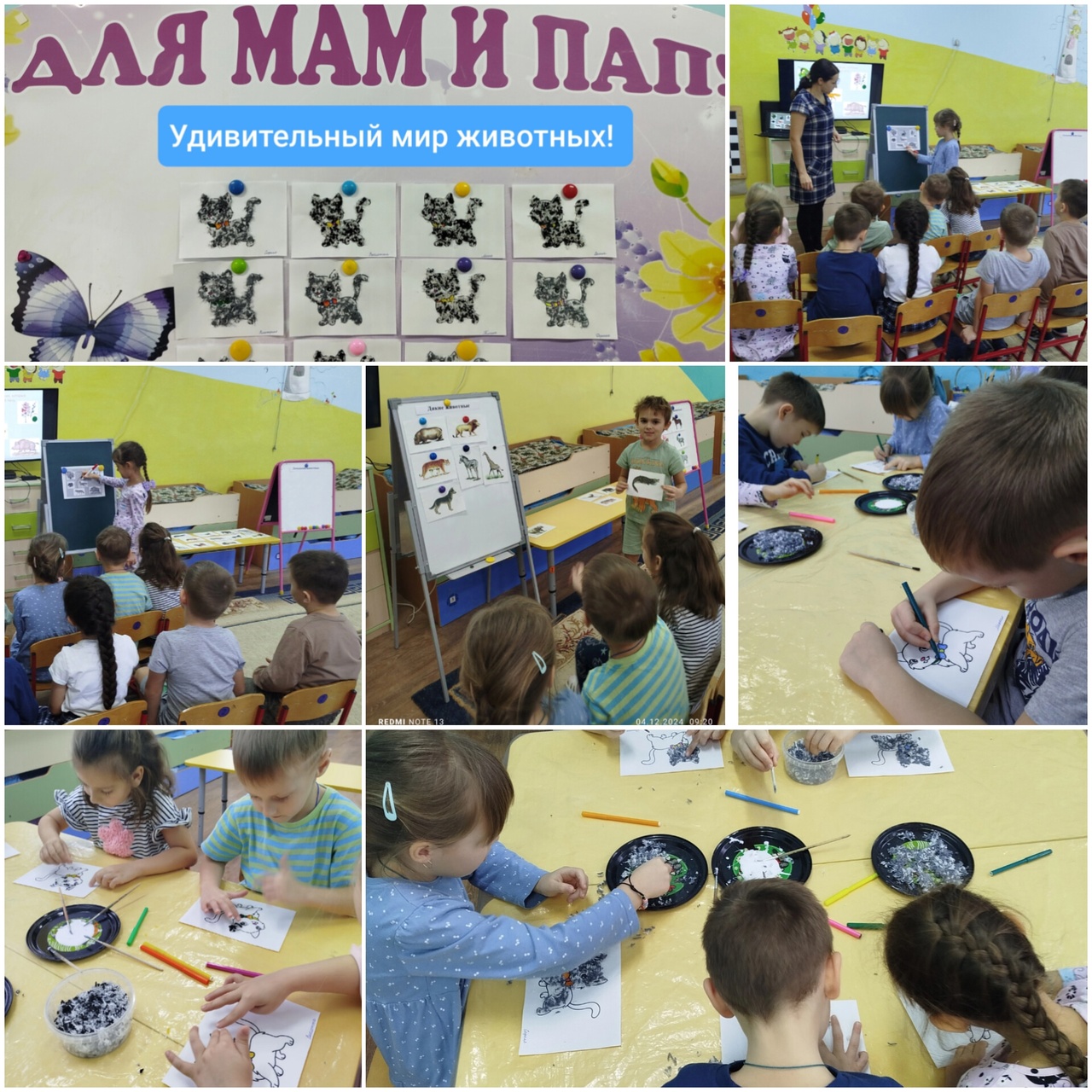 Чудесный мир животных